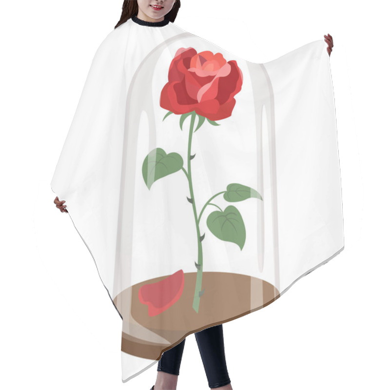 Personality  Rose In A Flask Of Glass On The White Background.  Hair Cutting Cape