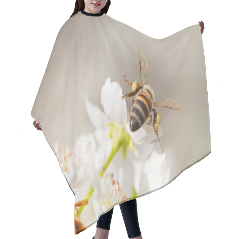 Personality  Honeybee Harvesting Pollen From Blossoming Tree Buds. Hair Cutting Cape