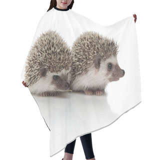 Personality  Couple Of Two Hedgehogs Standing Side By Side Hair Cutting Cape