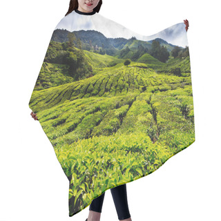 Personality  Tea Platation In The Cameron Highlands Hair Cutting Cape