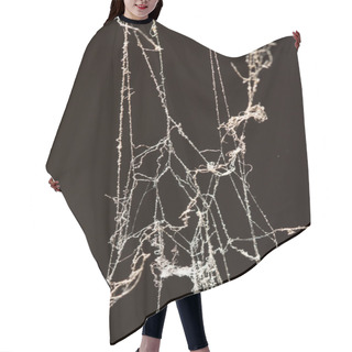 Personality  Background, Hair Cutting Cape