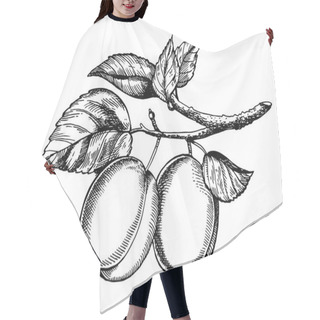 Personality  Sprig Of Plum Engraving Vector Illustration Hair Cutting Cape