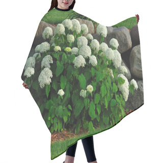 Personality  Blooming Hydrangea Hair Cutting Cape