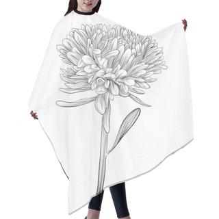 Personality  Monochrome, Black And White Aster Flower Isolated. Hair Cutting Cape
