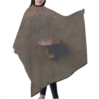 Personality  Top View Of Uncooked Suillus Mushroom On Dark Grunge Surface  Hair Cutting Cape