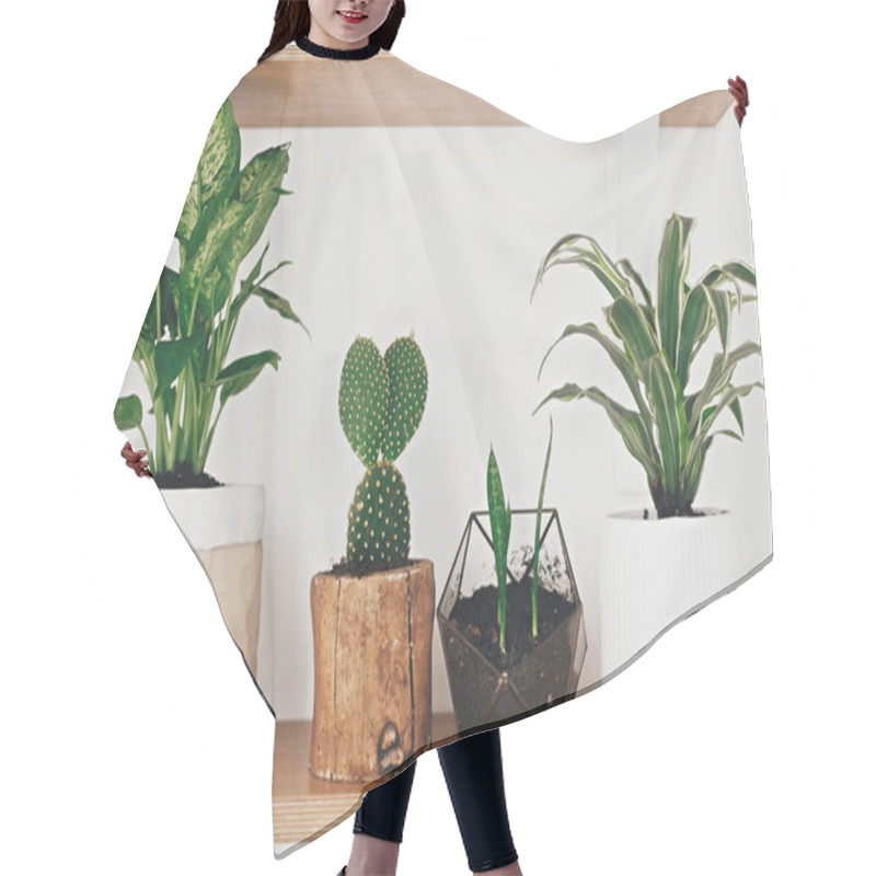 Personality  Stylish Wooden Shelves With Modern Green Plants And White Wateri Hair Cutting Cape