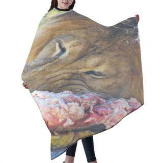 Personality  Lion Eating Meat Hair Cutting Cape
