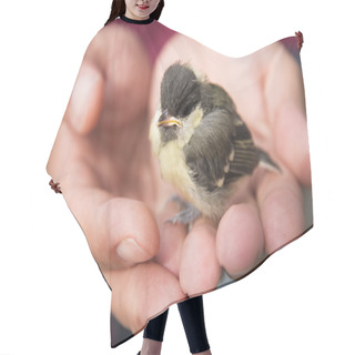 Personality  Baby Birds On Human Palm Hair Cutting Cape