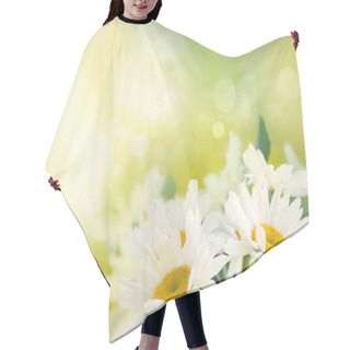 Personality  Spring Background Hair Cutting Cape
