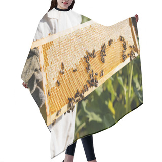 Personality  Cropped View Of Apiarist Holding Frames With Bees On Honeycomb Outdoors Hair Cutting Cape