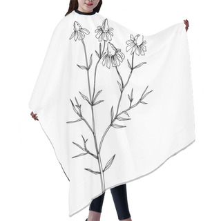 Personality  Vector Wildflowers Floral Botanical Flowers. Black And White Engraved Ink Art. Isolated Flower Illustration Element. Hair Cutting Cape