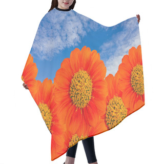 Personality  The Orange Flower With Blue Sky Hair Cutting Cape