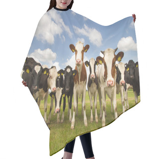 Personality  Dutch Cows In A Meadow Hair Cutting Cape