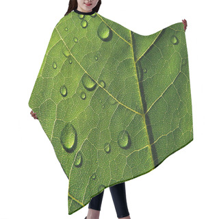 Personality  Dark-green Leaf With Drops Of The Rain Hair Cutting Cape