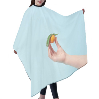 Personality  Cropped View Of Woman Holding Organic Tangerine In Hand Isolated On Blue  Hair Cutting Cape