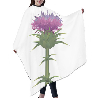 Personality  Milk Thistle , Silybum Marianum Isolated On White. Vector Hair Cutting Cape