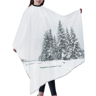 Personality  Spruces Covered With Snow In Carpathian Mountains Hair Cutting Cape