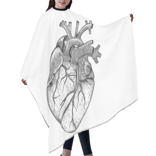 Personality  Vector Realistic Heart . Anatomy Human Organ Image For Black And White Hipster T-shirt Print Hair Cutting Cape