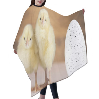 Personality  Cute Little Chicks Hair Cutting Cape