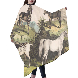 Personality  Animals In The Wild. Hair Cutting Cape