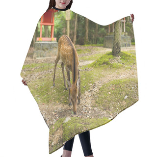 Personality  Deer Eating Grass In The Park Hair Cutting Cape