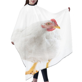 Personality  White Hen Hair Cutting Cape