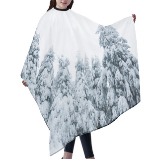 Personality  Snow Hair Cutting Cape