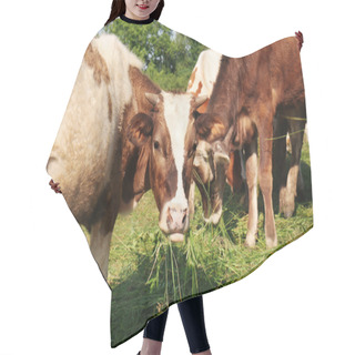 Personality  Cows On The Pasture Hair Cutting Cape