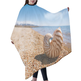Personality  Great British Summer Pebble Beach With Nautilus Pompilius Sea Shell Hair Cutting Cape