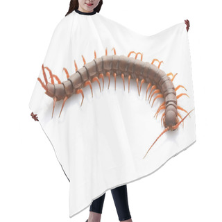 Personality  Vietnamese Giant Centipede Hair Cutting Cape