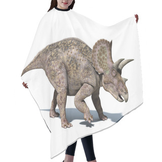 Personality  Triceratops Dinosaur, Isolated On White Background Hair Cutting Cape