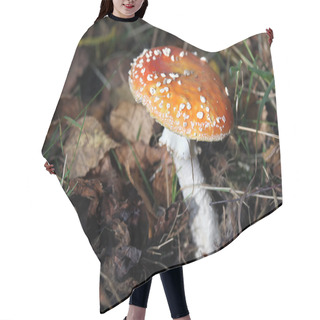 Personality  Fly Agaric Hair Cutting Cape