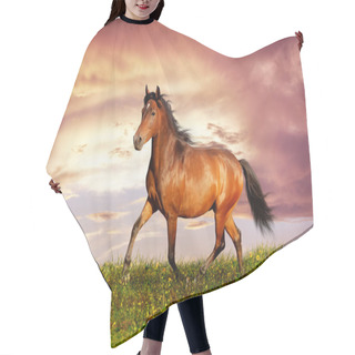 Personality  Beautiful Brown Horse Running Trot Hair Cutting Cape