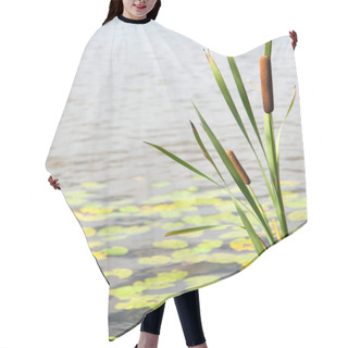 Personality  Typha Angustifolia In The Water In A Lake With A Boat In The Background Hair Cutting Cape