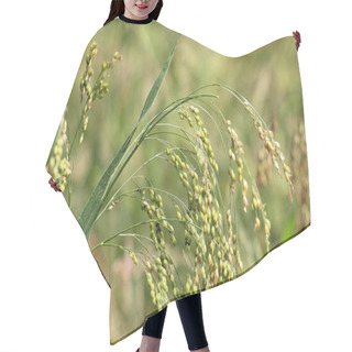 Personality  Proso Millet Hair Cutting Cape