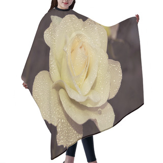 Personality  Open Flower Decorative Cream-colored Rose Covered With Drops Of Dew Hair Cutting Cape