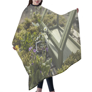 Personality  Moss And Flowers For A Flower Arrangement In The Garden Hair Cutting Cape