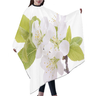 Personality  Twig Of Blooming Plum Tree Hair Cutting Cape