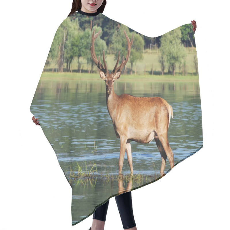 Personality  Deer Hair Cutting Cape