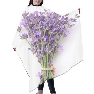 Personality  Bunch Of Lavender. Hair Cutting Cape