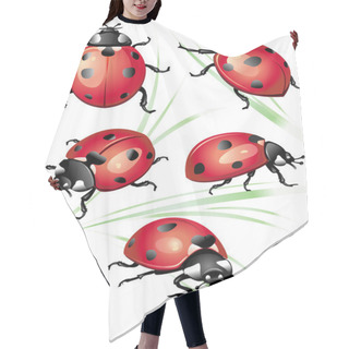 Personality  Set Of Ladybird Hair Cutting Cape