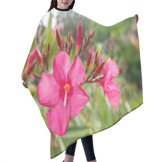 Personality  An Image Of A Red Oleander Plant Flower Blossom Hair Cutting Cape