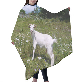 Personality  White Nanny Goat Hair Cutting Cape