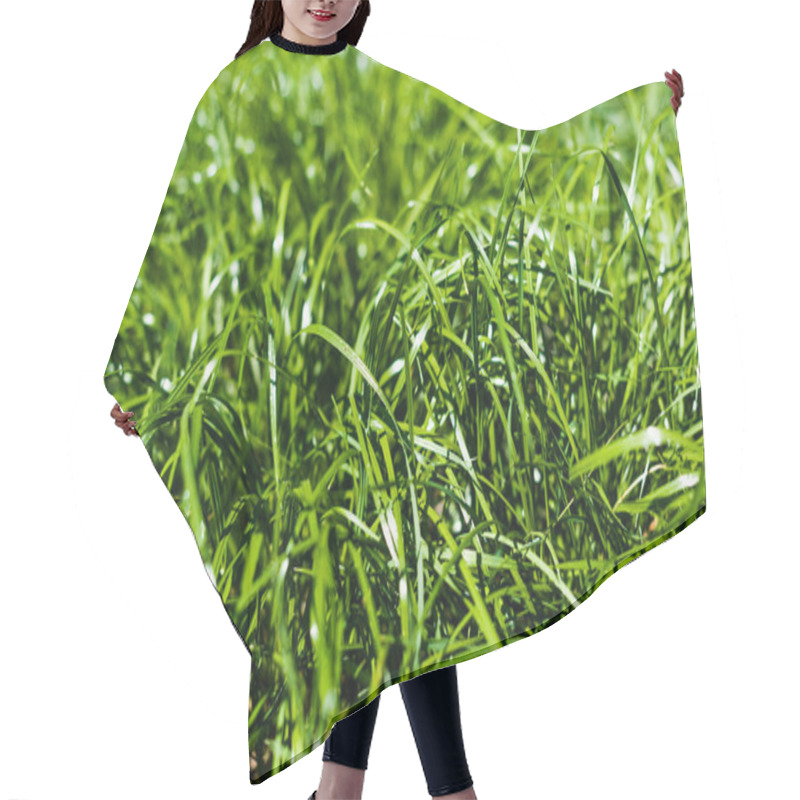 Personality  Green hair cutting cape