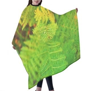 Personality  Green Leaves (green Branches Of The Bush, Tree), Green Fern Leaves Hair Cutting Cape