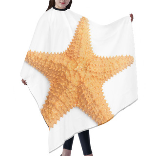 Personality  The Caribbean Starfish. Hair Cutting Cape