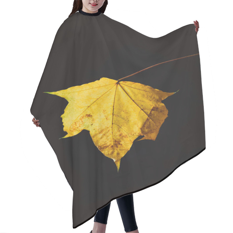 Personality  Beautiful Yellow Maple Leaf Isolated On Black, Autumn Background Hair Cutting Cape