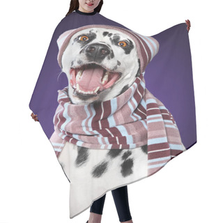 Personality  Happy Dalmatian Dog In Scarf And Winter Hat Isolated On Black Background. Animal Themes Hair Cutting Cape