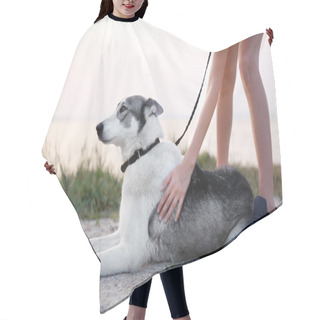 Personality  Siberian Husky In Park Hair Cutting Cape