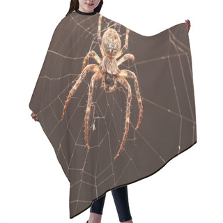 Personality  Dreadful Cross Spider Hair Cutting Cape